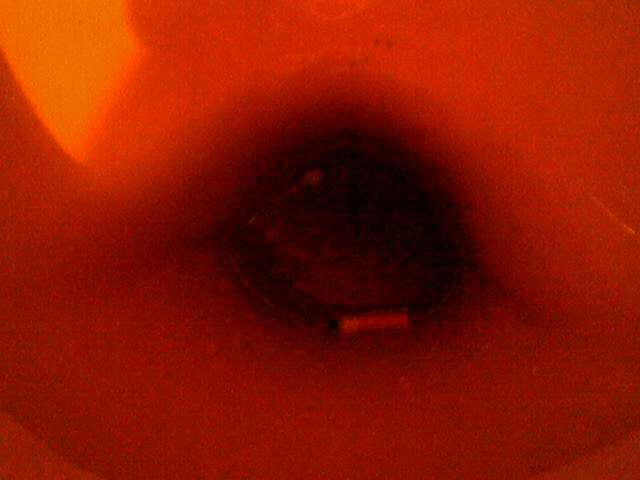 EICHENWALD - "Eichenwald" (2016)